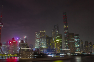 上海护林先锋：年轻女孩傍晚奔赴森林，与野生动物共度美好时光！